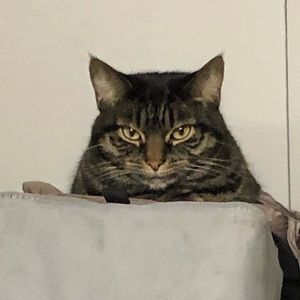 Meet your Posher, Dana